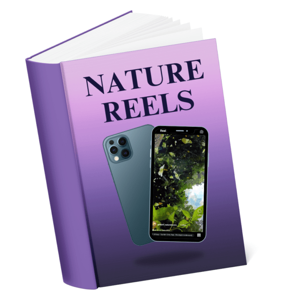 Nature Reel Bundle